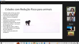 Better Cities for Pets